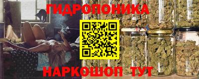 PSILOCYBIN Можайск