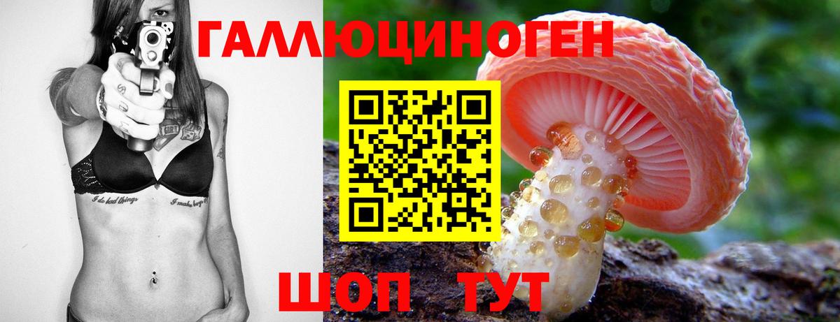 Фрязино  Галлюциногенные грибы Cubensis  Вход с VPN 